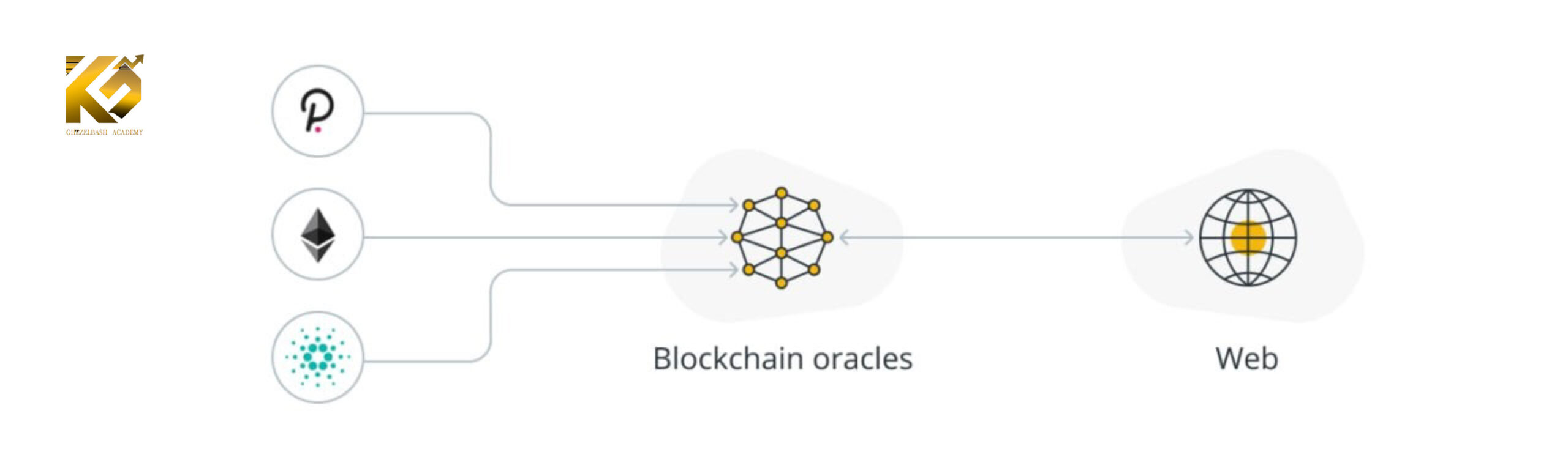 تفاوت بیت کوین در مقابل ETF های اتریوم