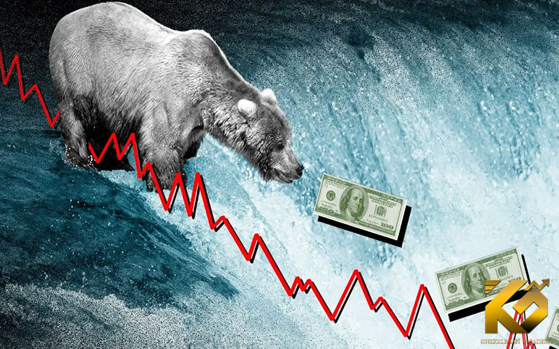 3 نشانه اصلی آغاز بازار خرسی