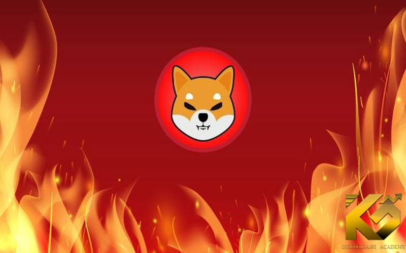رشد شدید سوزاندن SHIB و تأیید ژاپن