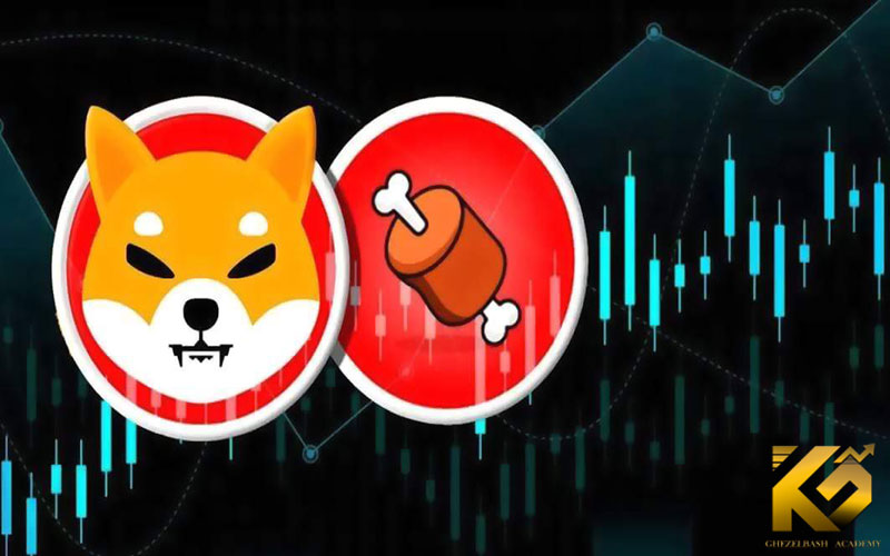 معرفی ارز دیجیتال BONE