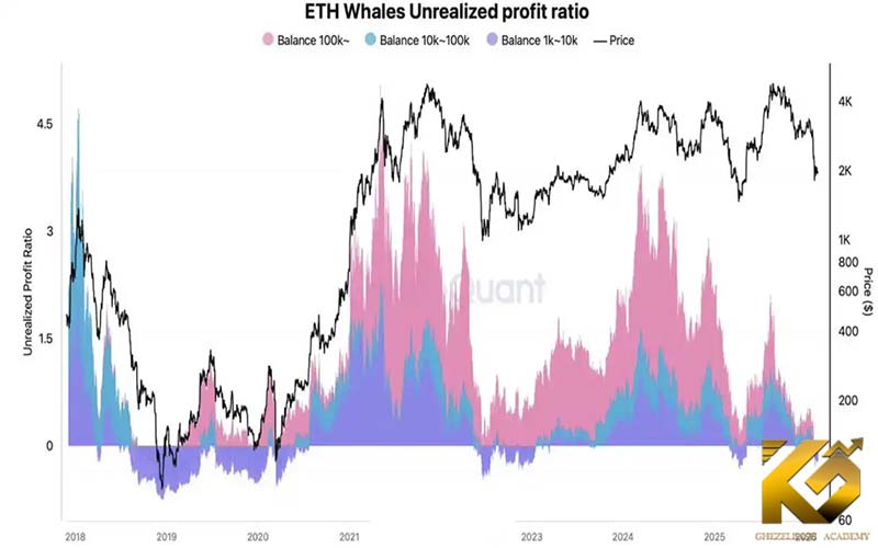 نهنگ های اتریوم برای نخستین بار در این چرخه وارد زیان شدند