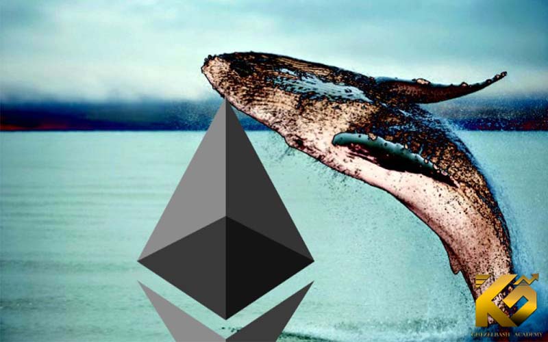 نهنگ های اتریوم برای نخستین بار در این چرخه وارد زیان شدند