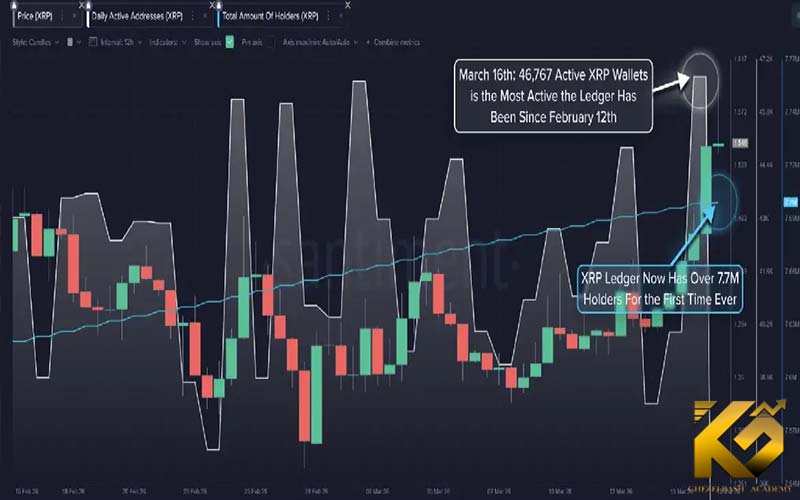 افزایش بیسابقه هولدرهای ریپل، احتمال جهش قیمت XRP را بالا برد