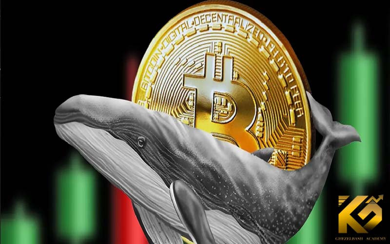 شدت گرفتن خروج نهنگ‌ها از بیت‌ کوین در پی وضعیت بحرانی بازار کریپتو