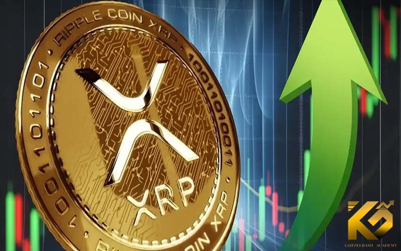 افزایش هولدر های ریپل، احتمال جهش قیمت XRP را بالا برد