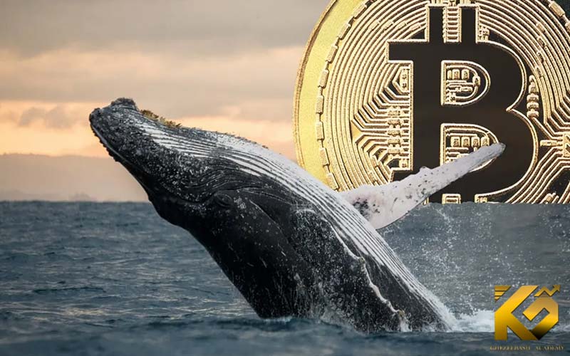صعود قیمت بیت‌ کوین به 81 هزار دلار؛ نهنگ‌ها در حال بلعیدن بازار