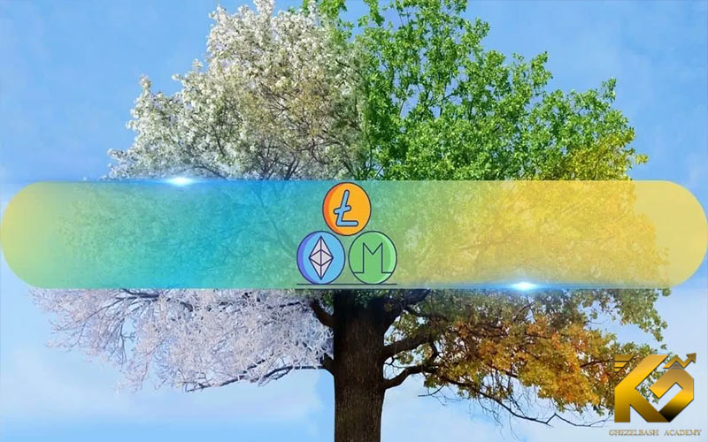آلت کوین ها 65% معاملات بایننس را تصاحب کردند؛ آلت سیزن بزرگ در راه است؟